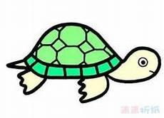 乌龟图什么颜色最好看