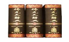 佛学大辞典电子辞典